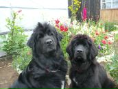 Фотография Князевой Анны