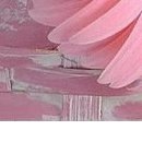 Ірина Кукурудза фотография #39 (источник - https://vk.com/id22514152)