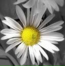 Фотография Клиндуховой Дарьи