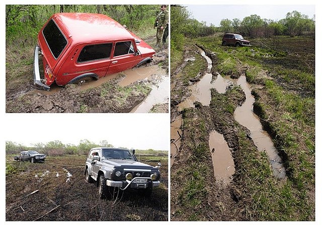 Дэвид Чарквиани фотография #21