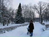 Фотография Шешуковой Анастасии