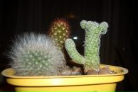 Фотография Бессчетновой Оксаны