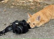 Фотография Абдуллина Артура