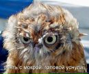 Тіна Лоянич фотография #11 (источник - https://vk.com/id82339649)