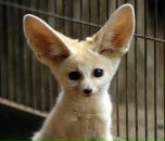 Фотография Накрохина Георгия