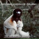 Євгеній Ковальчук фотография #21 (источник - https://vk.com/id14275683)