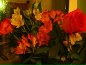 Фотография Макаровой Натальи