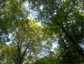 Віталій Панасюк фотография #43 (источник - https://vk.com/id67183575)