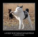 Вова Федінчик фотография #43 (источник - https://vk.com/id167941918)