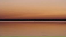 Фотография Алпатовой Дарьи