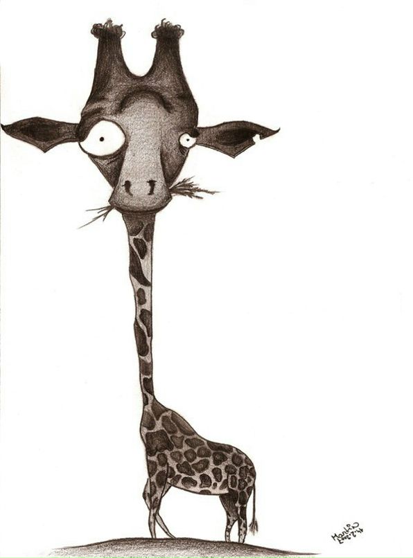 Андрей Дмитриев фотография #37