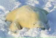 Фотография Ефремова Владислава