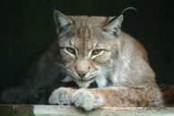 Фотография Егорова Андрея