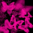 Аліночка Алмазік фотография #14 (источник - https://vk.com/id37683002)