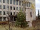 Бігуляк Goldenstream фотография #18 (источник - https://vk.com/id54639922)