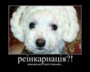 Станіслав Маторін фотография #42 (источник - https://vk.com/id51334110)