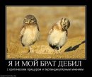 Миша Лысов фотография #36 (источник - https://vk.com/id2911480)