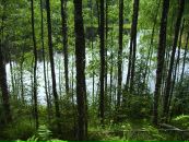 Фотография Мартынова Юрия
