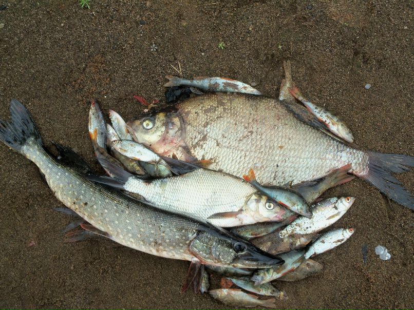 Александр Мурзин фотография #21