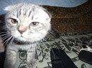 Шевчук Сергій фотография #24 (источник - https://vk.com/id20495548)
