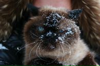 Фотография Ракитянской Кристины