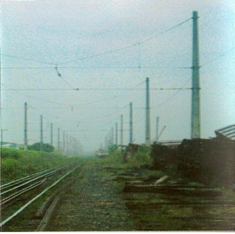 Dan Хвостов фотография #19