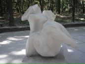 Світлана Манжара фотография #32 (источник - https://vk.com/id41062822)