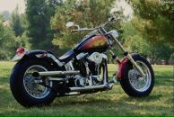 Леонід Безсмертний фотография #7 (источник - https://vk.com/id40175154)