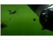 Федір Млавець фотография #48 (источник - https://vk.com/id11297324)