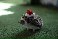 Віталій Базильчук фотография #27 (источник - https://vk.com/id87659538)