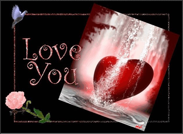 Saeed Radwan фотография #2