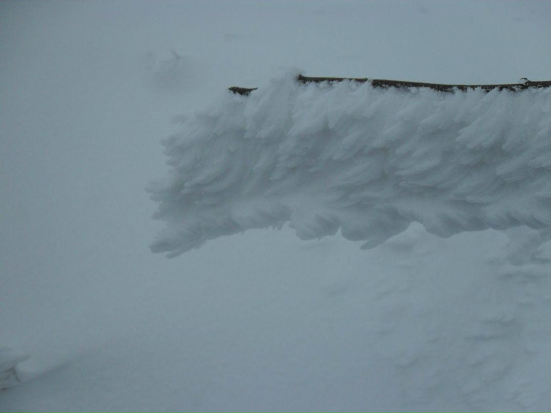 Дмитрий Журба фотография #19