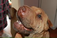 Фотография Воробьёва Виктора