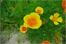 Аліна Процайло фотография #32 (источник - https://vk.com/id142070793)