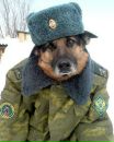Ігор Мостовий фотография #14 (источник - https://vk.com/id134376869)