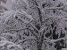 Елена Николаева фотография #17 (источник - https://vk.com/id160244419)