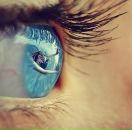 Фотография Розум Розум