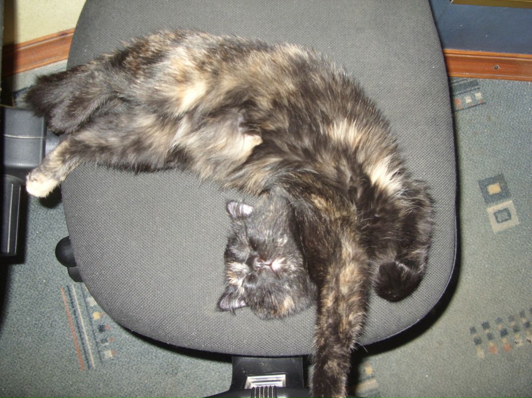 Санёк Игошкин фотография #37