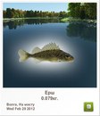 Діма Чейпеш фотография #44 (источник - https://vk.com/id160940576)