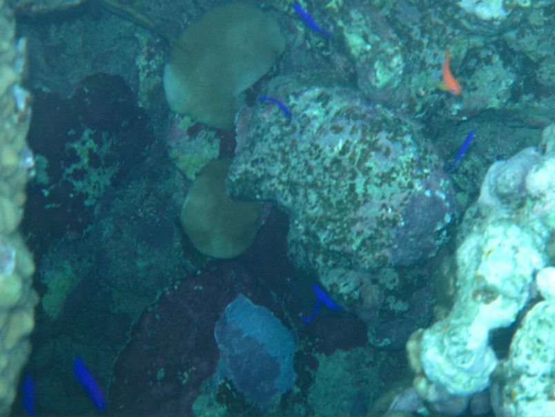 Борис Кишкилев фото №22