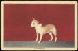  фотография #11