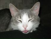 Фотография Томиловой Оксаны