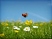 Андрій Гринів фотография #37 (источник - https://vk.com/id142682126)