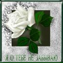 Юліана Борщ фотография #48 (источник - https://vk.com/id112844689)