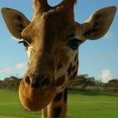 Фотография Яныгина Андрея