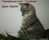 Фотография Коротковой Елены