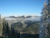 Міша Підлетейчук фотография #24 (источник - https://vk.com/id27159470)