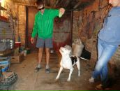 Сірьога Коробко фотография #42 (источник - https://vk.com/id31033448)