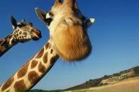 Фотография Капустиной Светланы