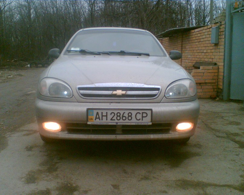 Женя Шевченко фотография #27